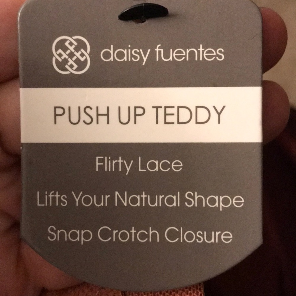 Daisy Fuentes Push Up Teddy Bodysuit Mesh & Lace.Size Medium. - Picture 15 of 15